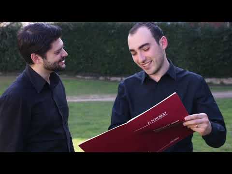 FERDIS Piano Duo in video